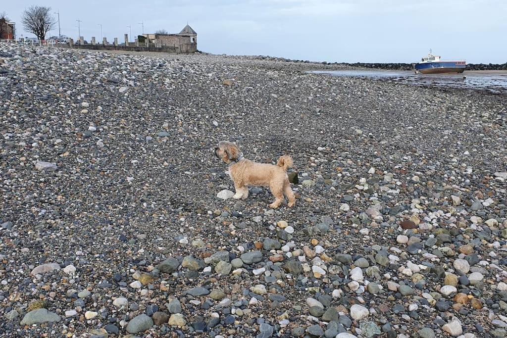 Welcome To The Beach House! Rhôs-on-Sea 外观 照片